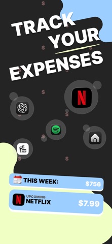 Spending Tracker: Zoe Screenshot 1 of 5