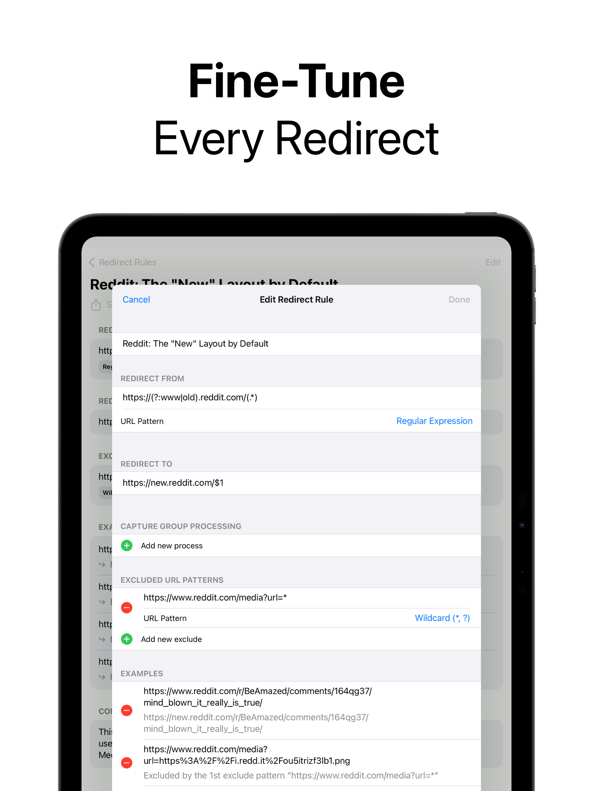 RedirectWeb Pro