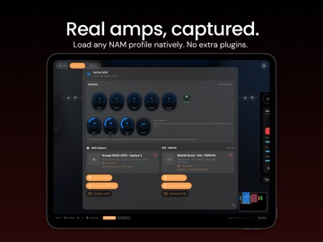 Taurus AUv3 Pedalboard iPad screenshot