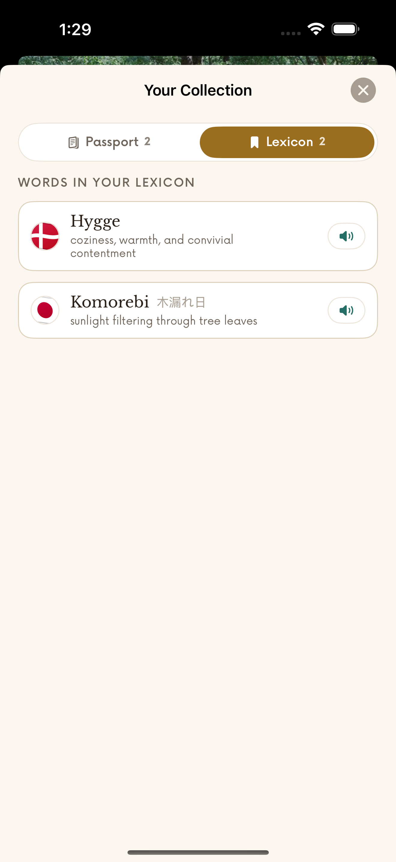 Untranslatable screenshot 4