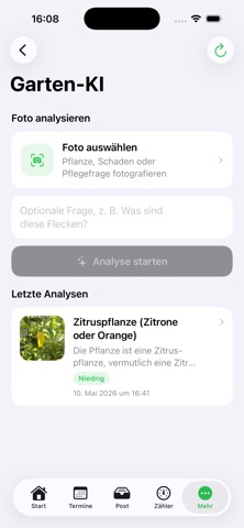 Laubenmeister screenshot