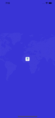 CargoVIU screenshot