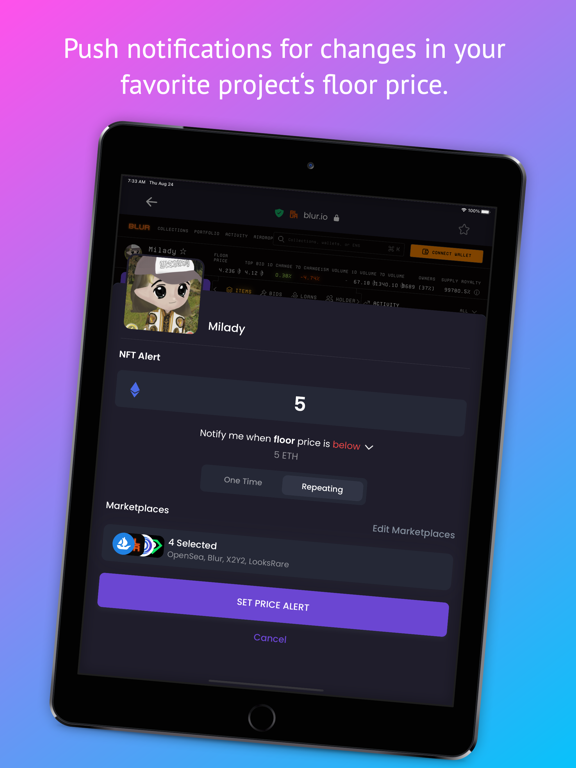 HaHa Wallet: Invest Smarter iPad screenshot 5 - Finance app