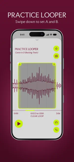 Pro Musician Toolkit screenshot 3