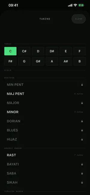 Rubberband: Microtonal Synth screenshot 3