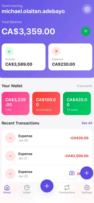 Steps Budget Tracker screenshot 2