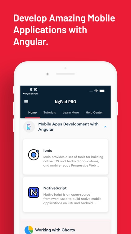 Learn to Code with Angular screenshot-4