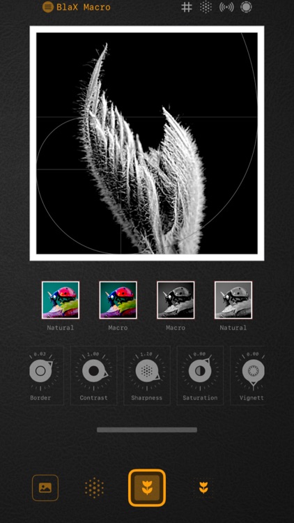 BlaX Macro Camera screenshot-8