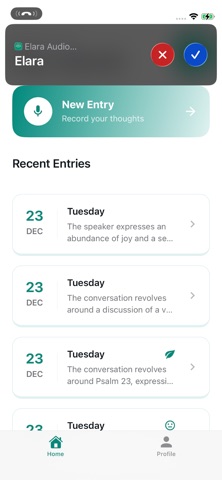 Elara - Calling Voice Journal Screenshot 1 of 7