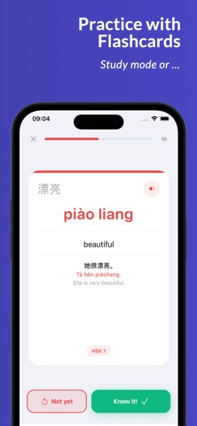 HSK Tracker screenshot