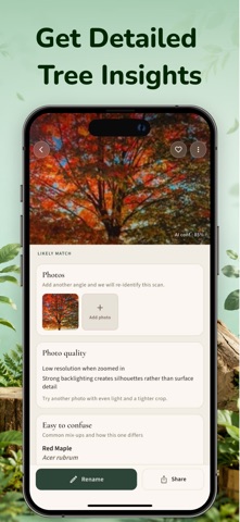 Wood Identifier App - WoodyAI Screenshot 3 of 7