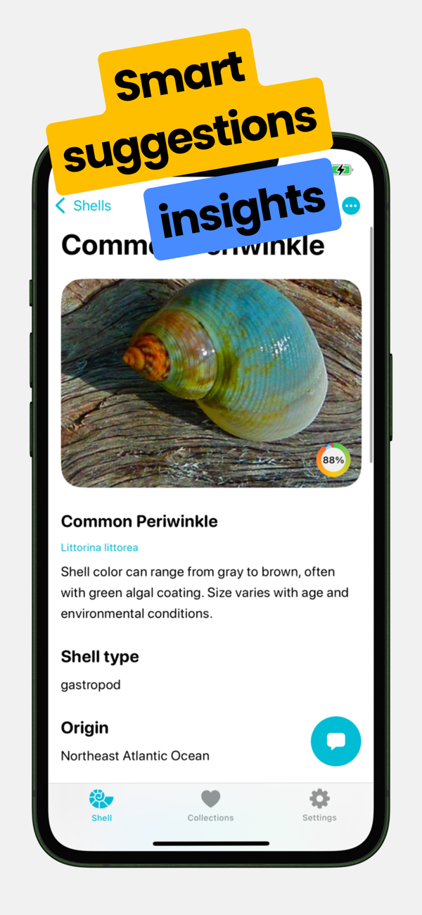Sea Shell Identifier: Ocelexia - Ocelexia是个人贝壳识别及贝类学助手，拍照即可用AI瞬