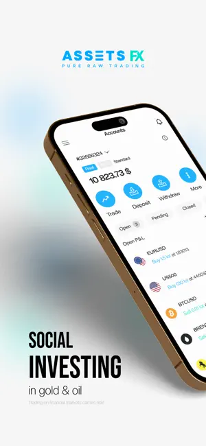 AssetsFX screenshot 1