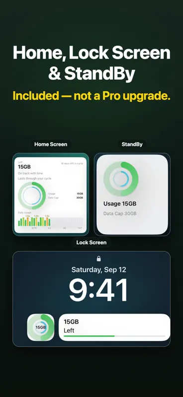 Data Widget: remaining data screenshot 2 of 5