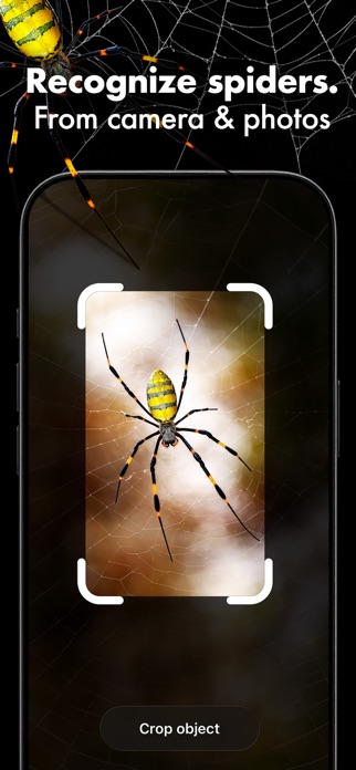 Spider Identifier: Bug Scanner Screenshot 2 of 4