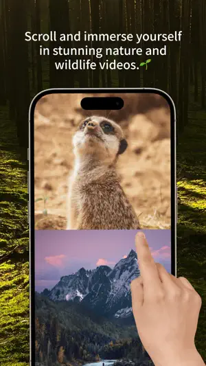 NatureBreeze – Nature Videos screenshot 3