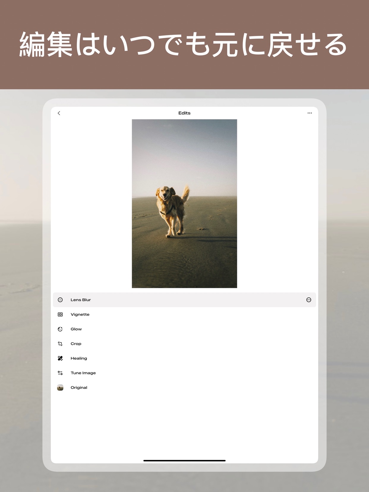 スクリーンショット 14