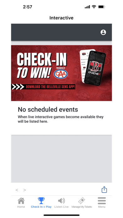 Belleville Senators Screenshot