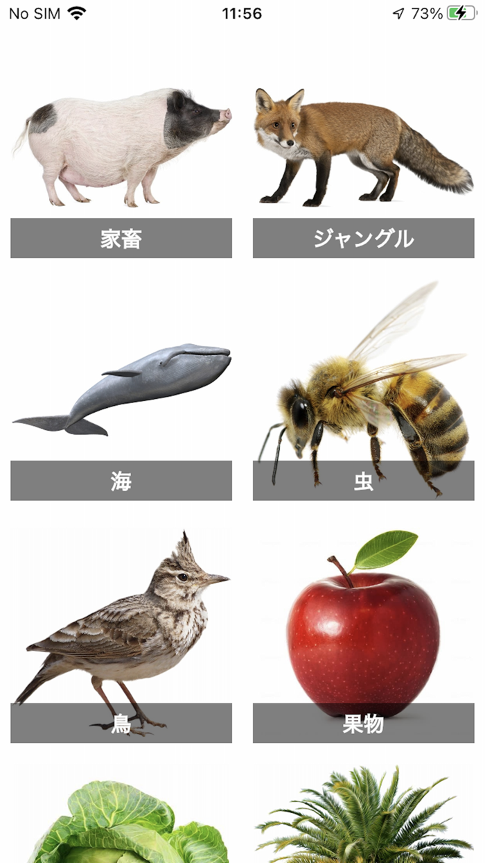 Flashcard Japanese beginner