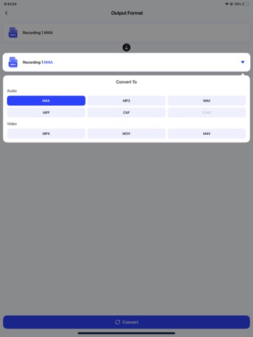 Voice Recorder - Audio Memos・ iPad screenshot