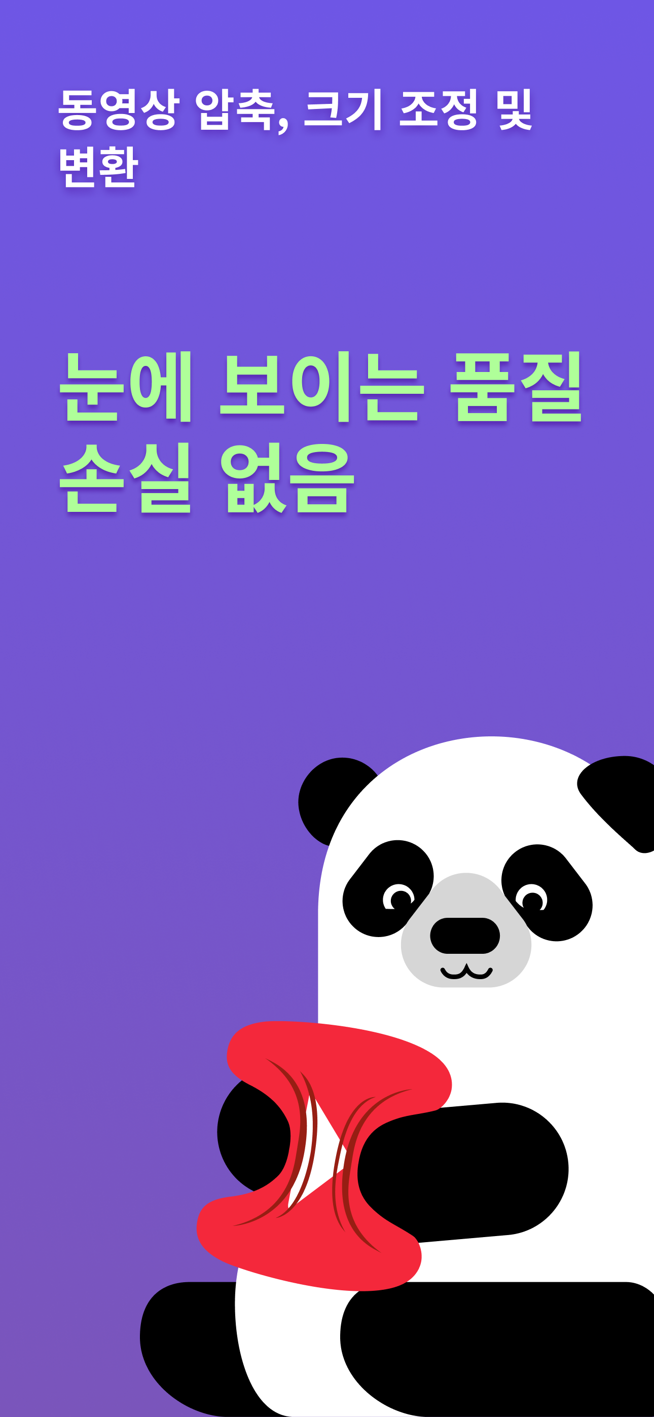 팬더 비디오 압축기, 비디오 변환기, 동영상 크기 조정