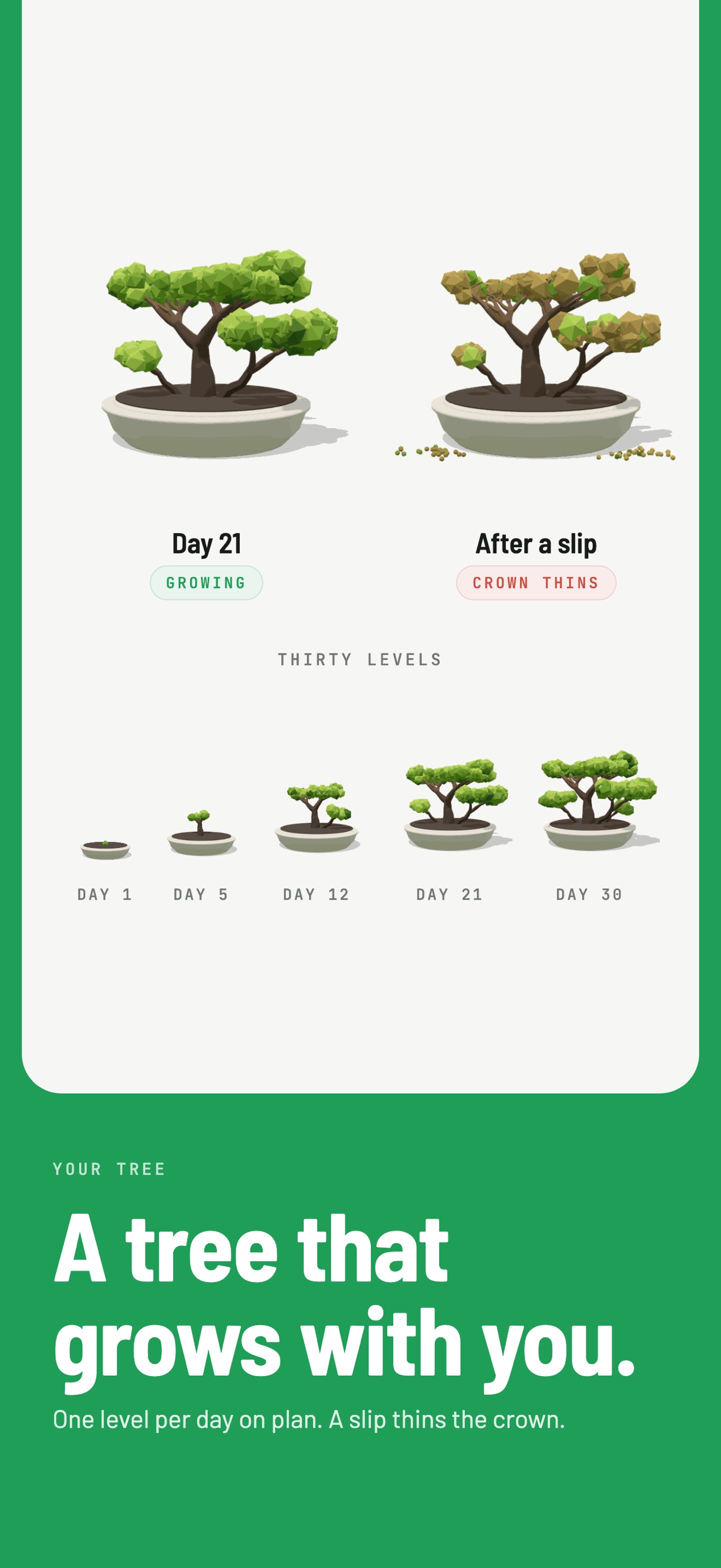 Screenshot 3 of ZyQuit: Quit Nicotine Pouches