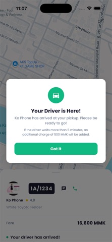 Family Taxi MM screenshot