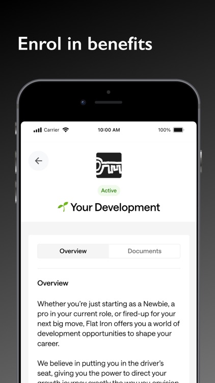 FlatIron by Ben screenshot-6