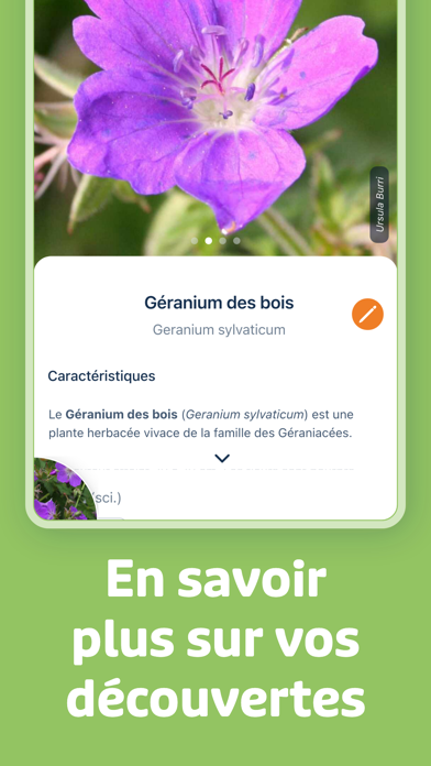 Screenshot #3 pour Flora Incognita