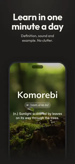 Vocabulary Builder – English screenshot 2