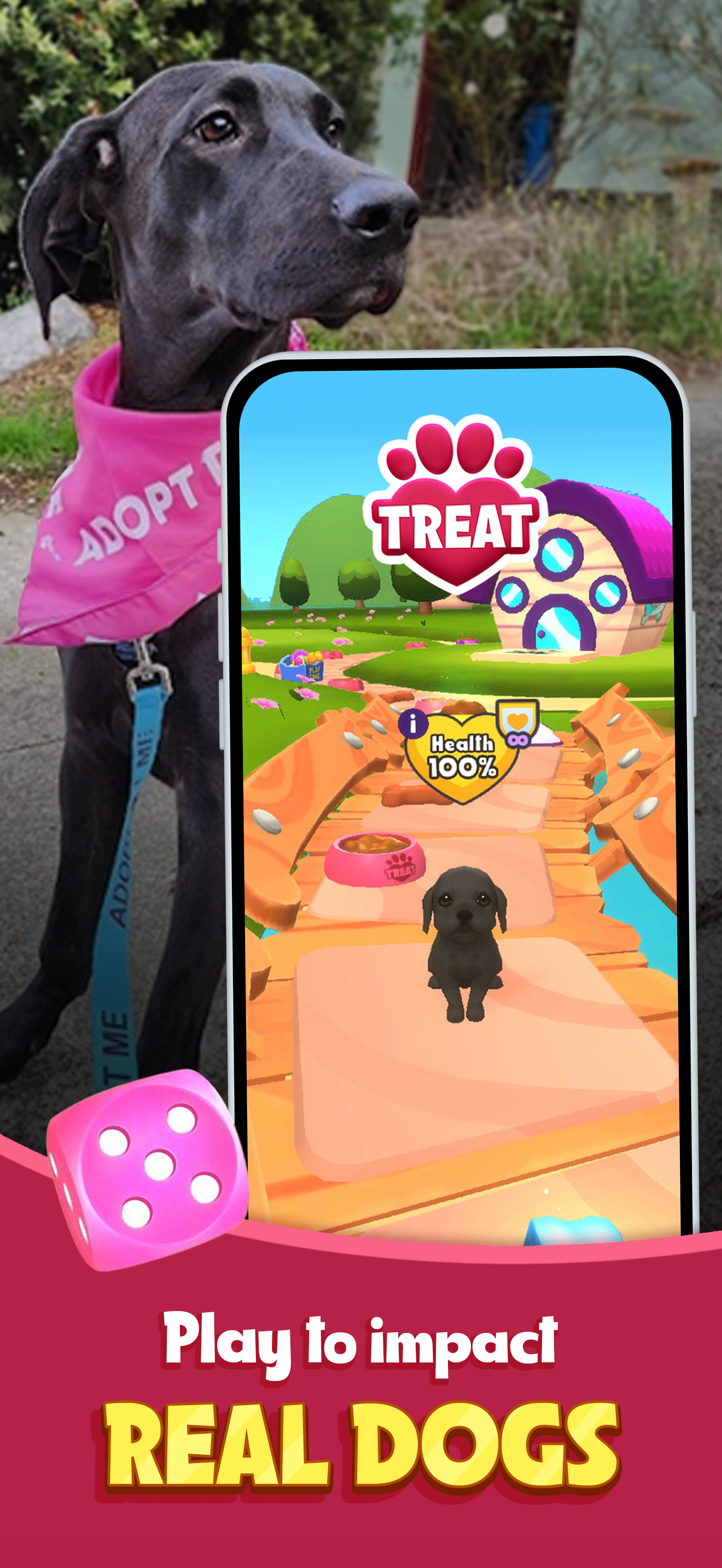 TREAT: Play & impact REAL dogs