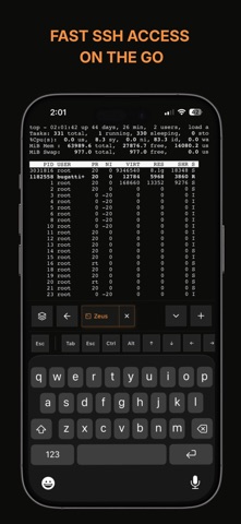 Termix - Remote Access screenshot