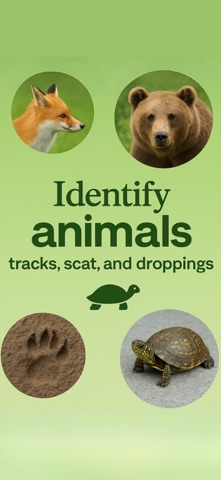 Animal identifier ° screenshot