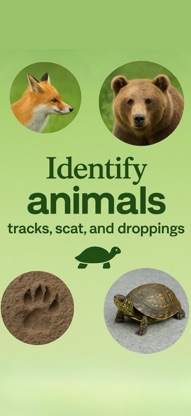 Animal identifier ° screenshot 1