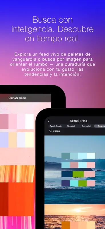 Rueda de Colores  + Osmosi AI screenshot 9 of 10