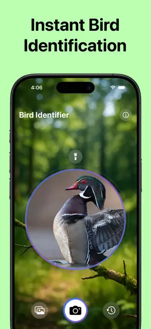 Identifier: Bird screenshot 2