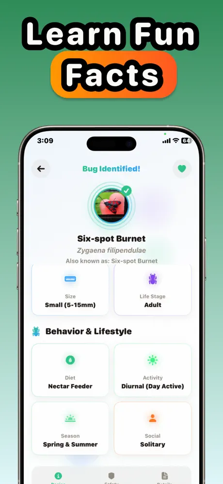 Spider Identifier: Pest Scanner screenshot 4