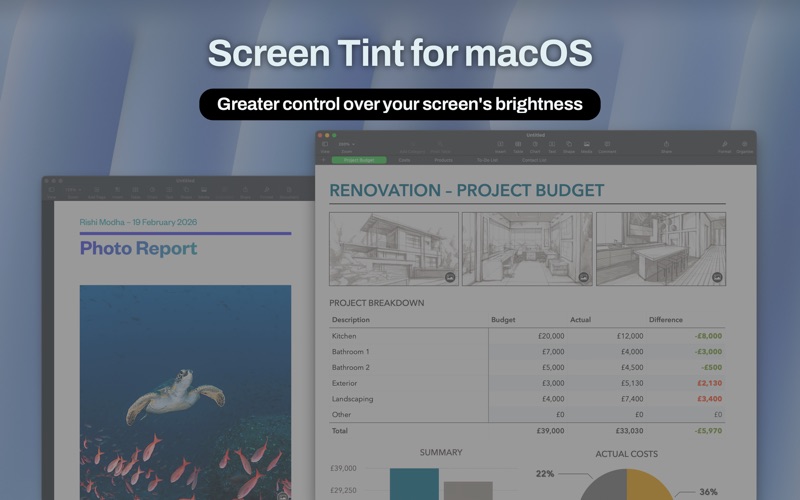 Screenshot #2 pour Screen Tint