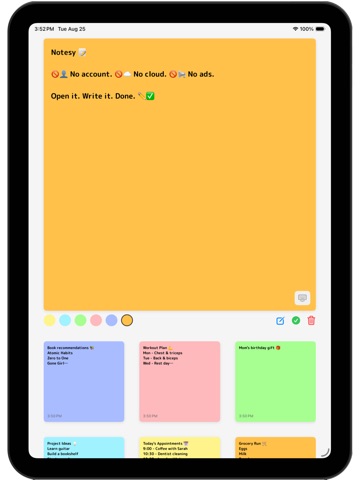 Notesy — Quick & Private Notes iPad screenshot