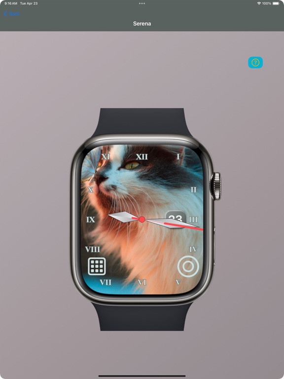 Cat Face Puzzles iPad screenshot 10 - Entertainment app