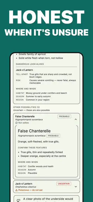 Mycoscout: Mushroom Identifier screenshot 4