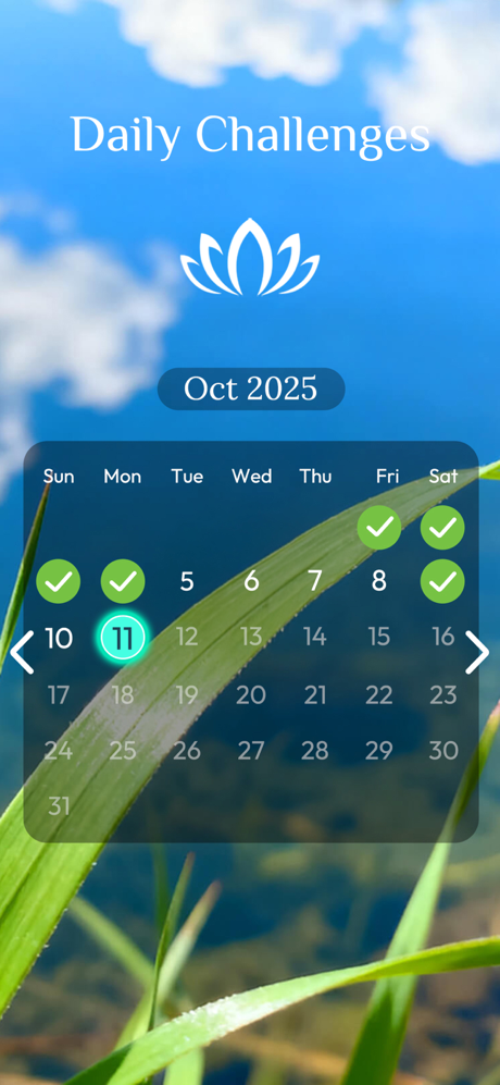 Jigmatch - Solitaire Puzzle screenshot 6