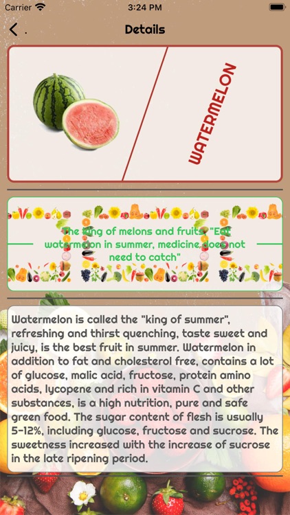 FruitVerticalPlate screenshot-4