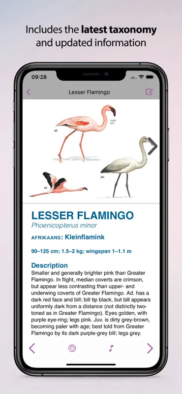 Sasol eBirds Kruger Park screenshot 2 of 9