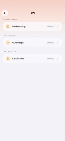 ZZP CV screenshot