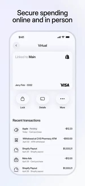 Shopify Balance screenshot 4
