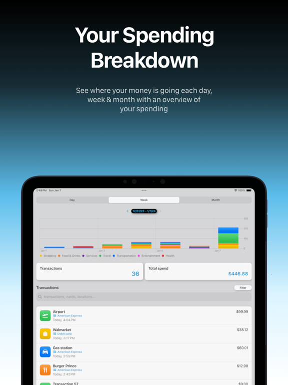 Smart Budget: WalletPal iPad screenshot 3 - Finance app