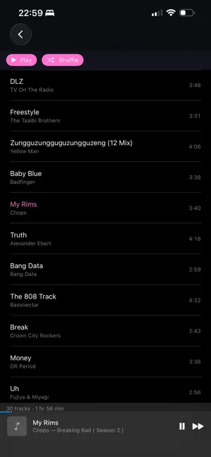 Moosic Player screenshot 2
