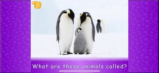 Animal picture games for kids iPhone screenshot