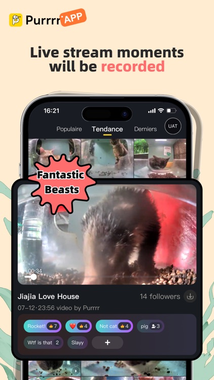 Purrrr-Feed&Rescue Stray Cats